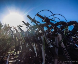 Tucson Mountain Bike Rentals