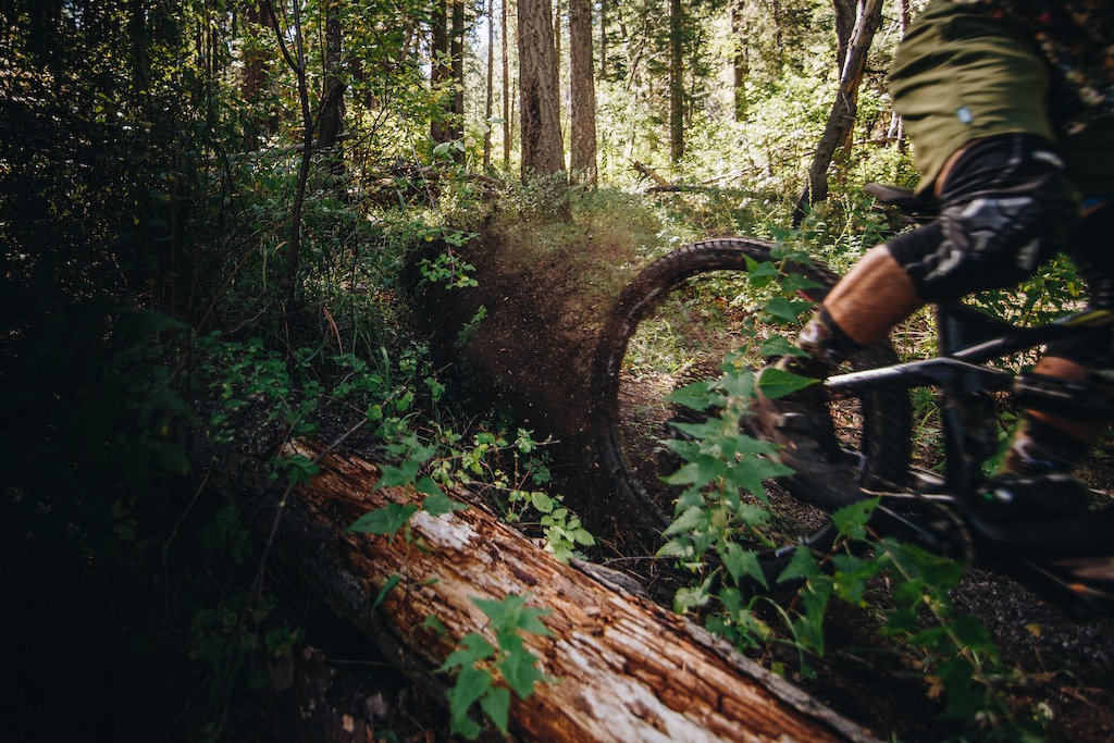 Cyclist riding a mountain bike through a forest trail.